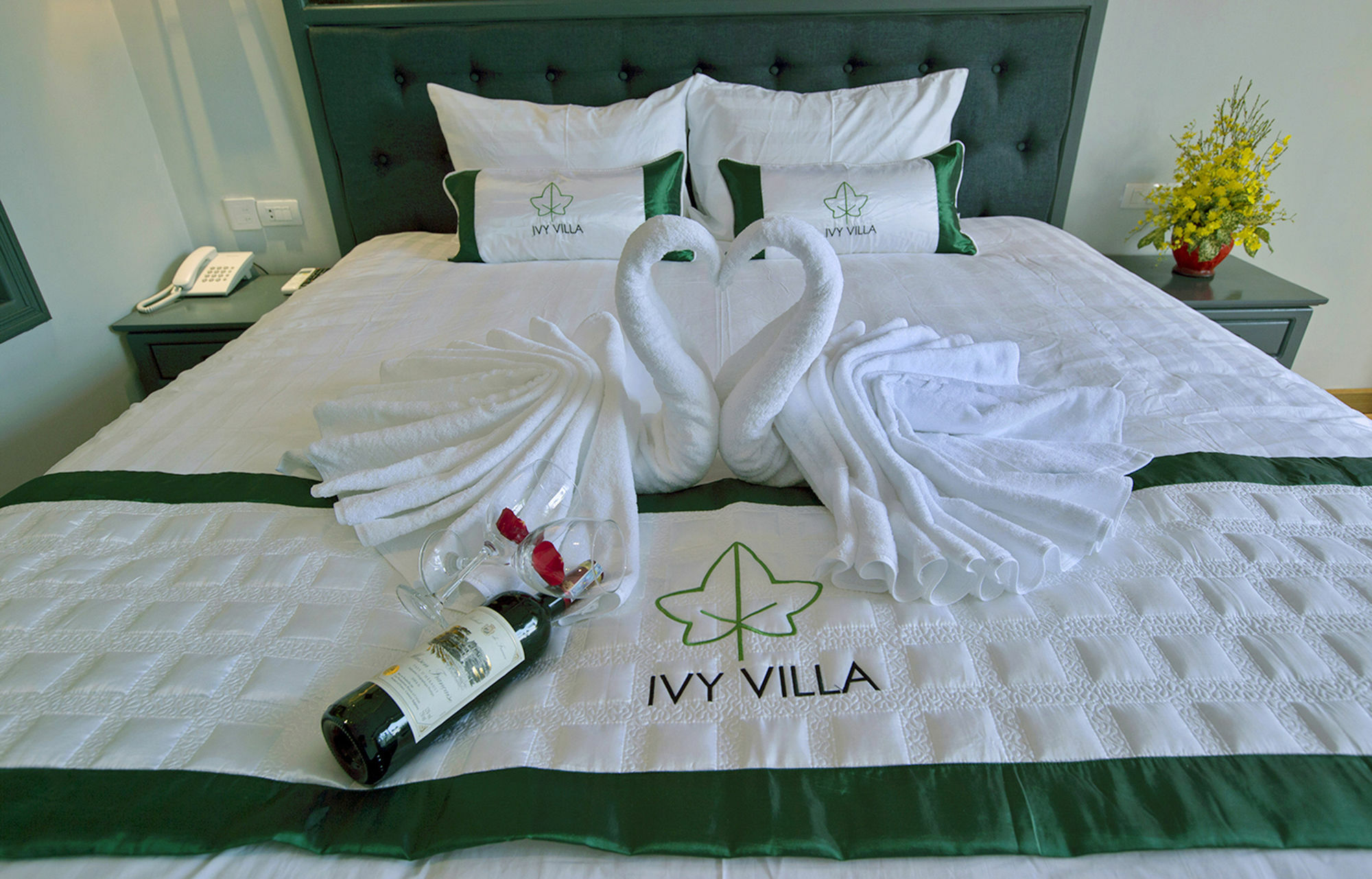 Ivy Villa هوي ان المظهر الخارجي الصورة